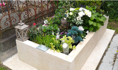 Jardin avec pierre